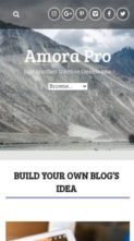 Amora Pro (screenshot mobile)