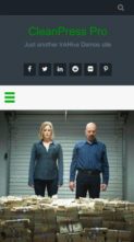 CleanPress Pro (screenshot mobile)