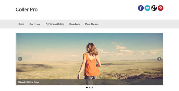 Coller Pro (InkHive)