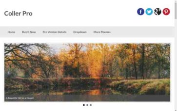 Coller Pro (screenshot desktop)