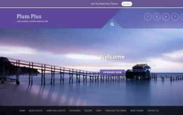 Plum Plus (screenshot desktop)