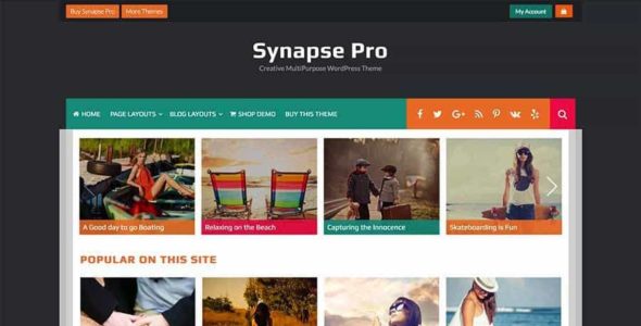 Synapse Pro (InkHive)
