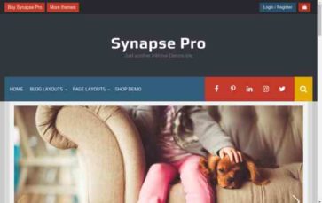 Synapse Pro (screenshot desktop)