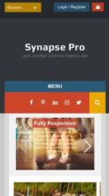 Synapse Pro (screenshot mobile)