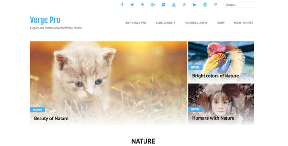 Verge Pro (InkHive)