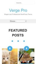 Verge Pro (screenshot mobile)