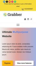 GrabberPro (screenshot mobile)