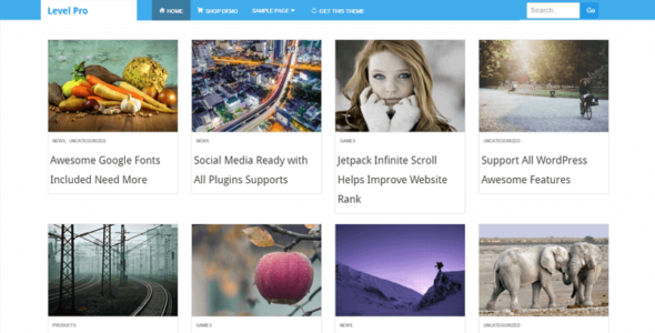 LevelPro (InsertCart)