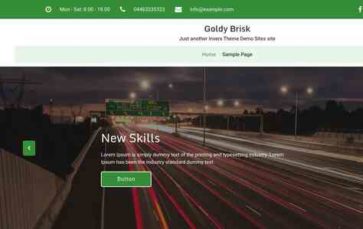 Goldy Brisk Pro (screenshot desktop)