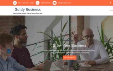 Goldy Business Pro (screenshot desktop)