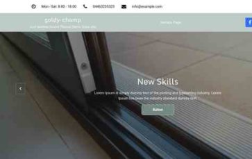 Goldy Champ Pro (screenshot desktop)