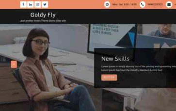 Goldy Fly Pro (screenshot desktop)