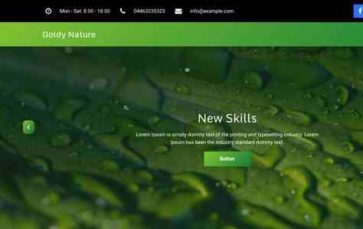 Goldy Nature Pro (screenshot desktop)