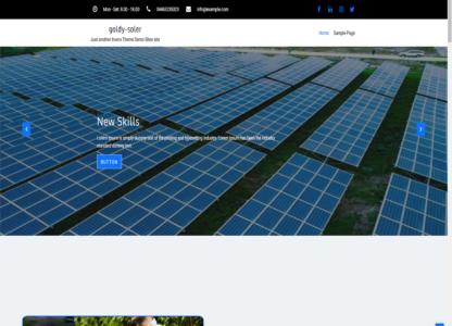 Goldy Soler Pro (InversTheme)