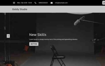 Goldy Studio Pro (screenshot desktop)