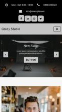 Goldy Studio Pro (screenshot mobile)