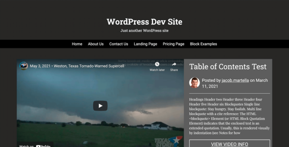 VideoPlace (Jacob Martella)