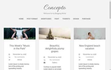 Concepto Lite (screenshot desktop)