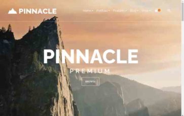 Pinnacle Premium (screenshot desktop)