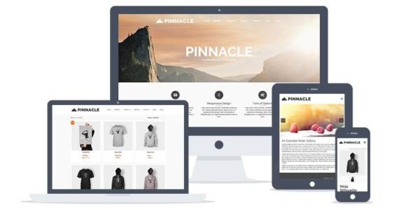 Pinnacle (Kadence WP)
