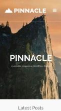 Pinnacle (screenshot mobile)