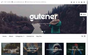 Blog Gutener (screenshot desktop)