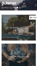 Blog Gutener (screenshot mobile)