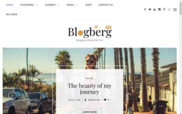Blogberg Pro (screenshot desktop)