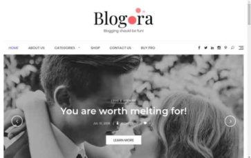 Blogora (screenshot desktop)