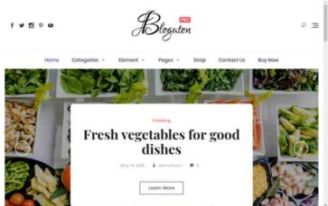 Bloguten Pro (screenshot desktop)