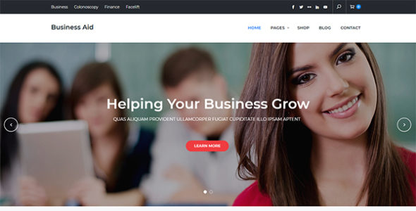 Business Aid (Keon Themes)