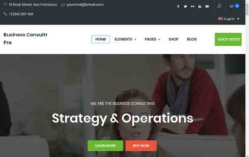 Business Consultr Pro (screenshot desktop)