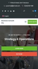 Business Consultr Pro (screenshot mobile)