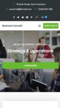 Business Consultr (screenshot mobile)