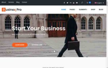 Businex Pro (screenshot desktop)