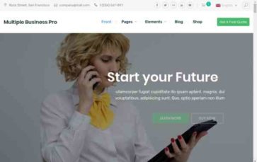 Multiple Business Pro (screenshot desktop)