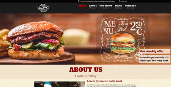 Burger Pro (Ketchup Themes)