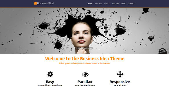 Business Mind Pro (Ketchup Themes)