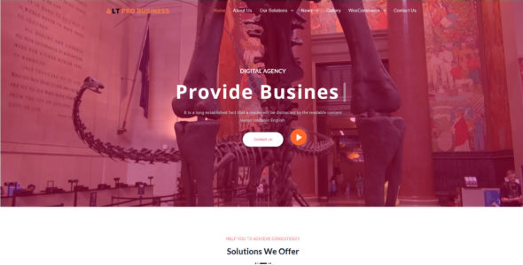 LT Pro Business (L.THEME)