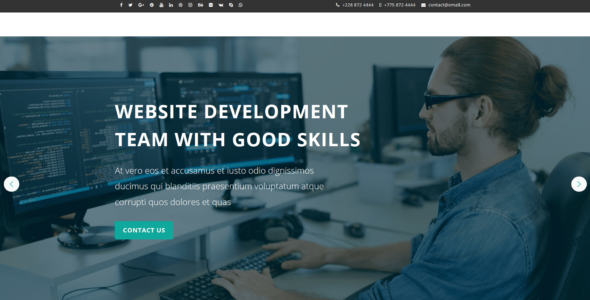 LT Web Design (L.THEME)