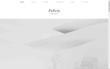 Felicis (screenshot desktop)