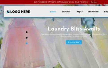 Laundry Services Pro (Logical Themes) - (screenshot desktop)