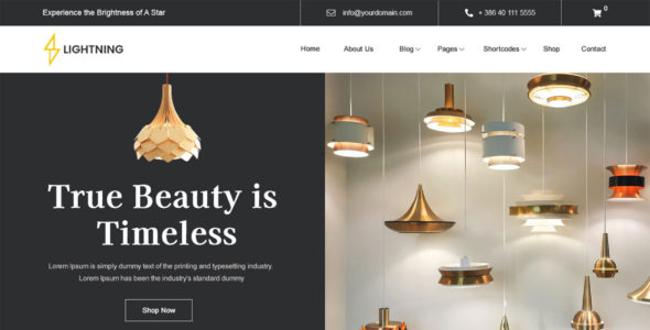 Lighting Store Pro (Logical Themes)