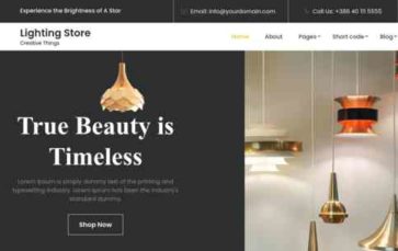 Lighting Store Pro (screenshot desktop)