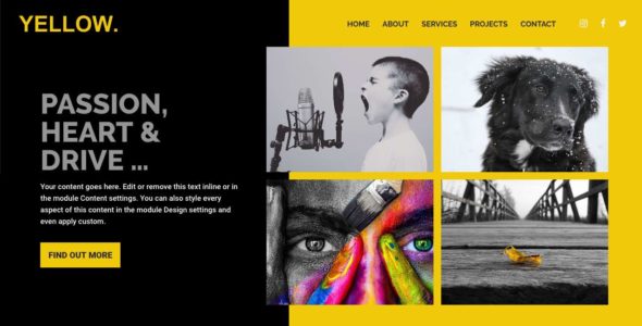 Yellow (Love Divi)