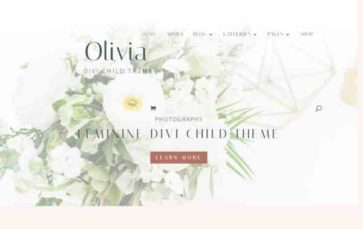 Olivia for Divi (Lovely Confetti) - (screenshot desktop)