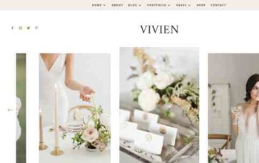 Vivien Pro (screenshot desktop)