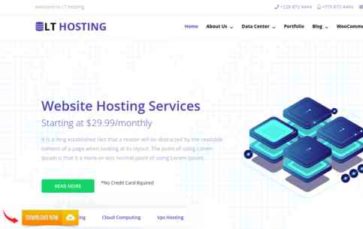 LT Hosting (screenshot desktop)