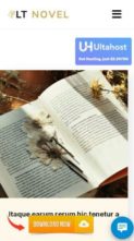 LT Novel (screenshot mobile)