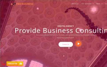 LT Pro Business (screenshot desktop)
